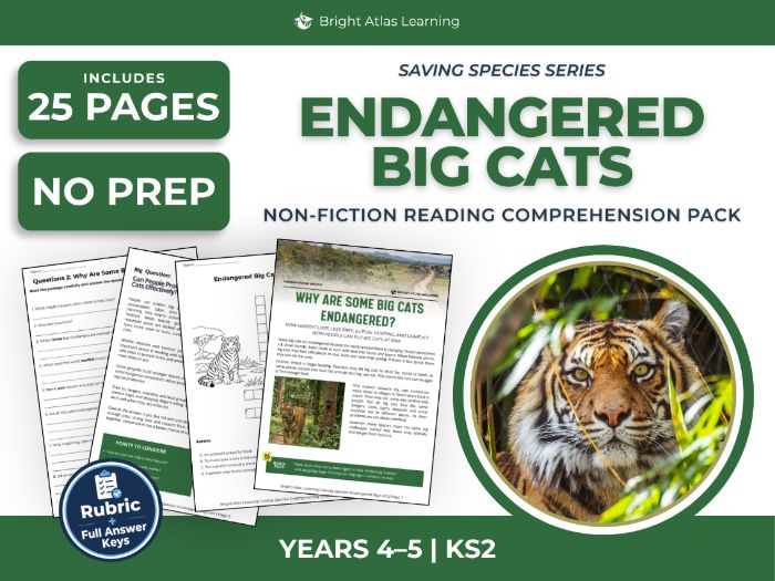 Endangered Big Cats Reading Comprehension | KS2 Years 4 & 5