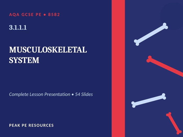 AQA GCSE PE (8582) - 3.1.1.1 The Musculoskeletal System | Complete Lesson Presentation (54 Slides)