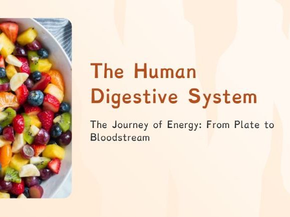 Organisms: The Human Digestive System (PPT + Worksheet)