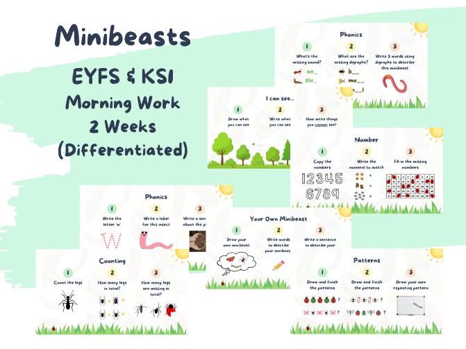 Minibeasts Morning Work x 2 Weeks - EYFS & KS1