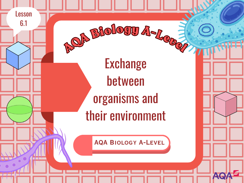 AQA A-Level Biology: Exchange Between Organisms and Their Environment (3.3.1)
