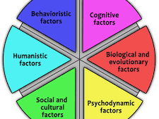 Year 1 (NEW 2025 Spec) Approaches End of Topic Test & Mark Scheme