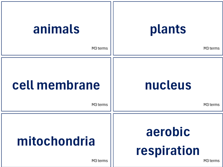 Cambridge iGCSE Marine Science Flashcards M3