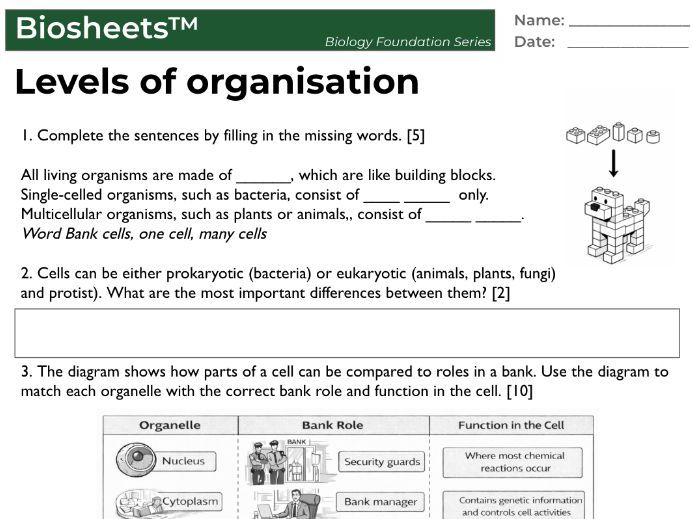 Biosheets™ – Levels of Organisation (IGCSE / GCSE Biology Worksheet + Mark Scheme)