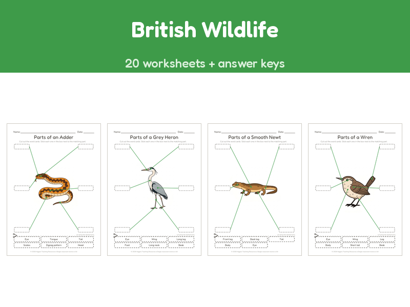 British Wildlife | Label the Parts Worksheets | 20 Sheets + Answers | Ages 5-7