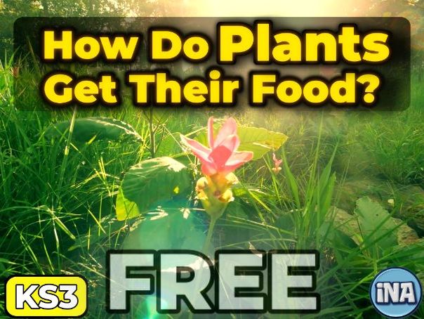 Plant Nutrition - FREE KS3 Biology Worksheet
