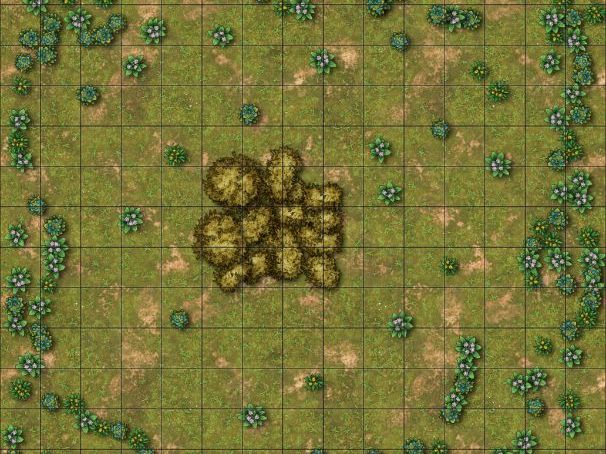 How to Use Quadrats.