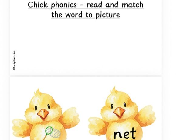 Read and match the word - Spring Chick