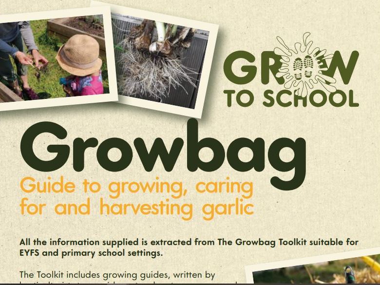 How to grow Garlic, &  bulb lesson plan