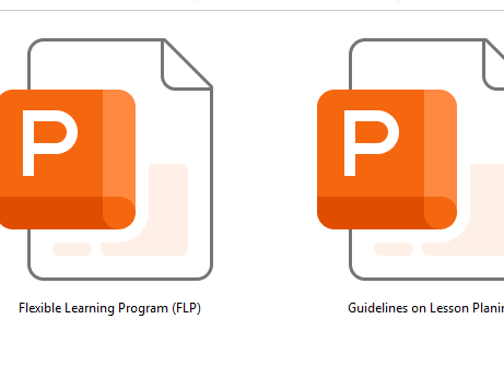 Flexible Learning Program (FLP) and Guidelines on Lesson Planning