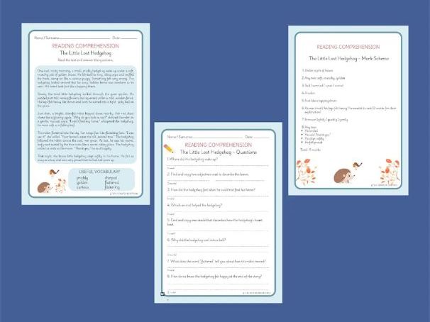 Year 2 Reading Comprehension - Animal Adaptations & The Little Lost Hedgehog