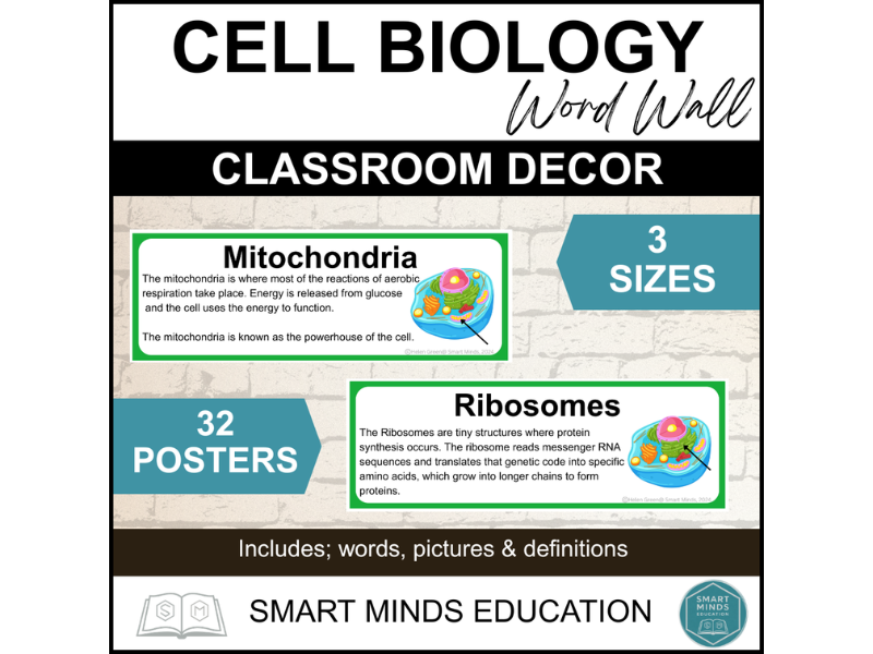 CELL BIOLOGY WORD WALL - SCIENCE CLASSROOM DISPLAY *PRINTABLE* B1 TOPIC