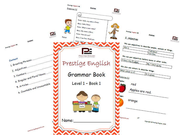 English Grammar Book - Level 1 Book 1