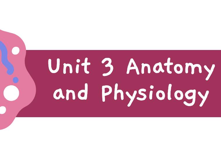 BTEC L3 Health and Social Care - Unit 3 Energy and Homeostasis