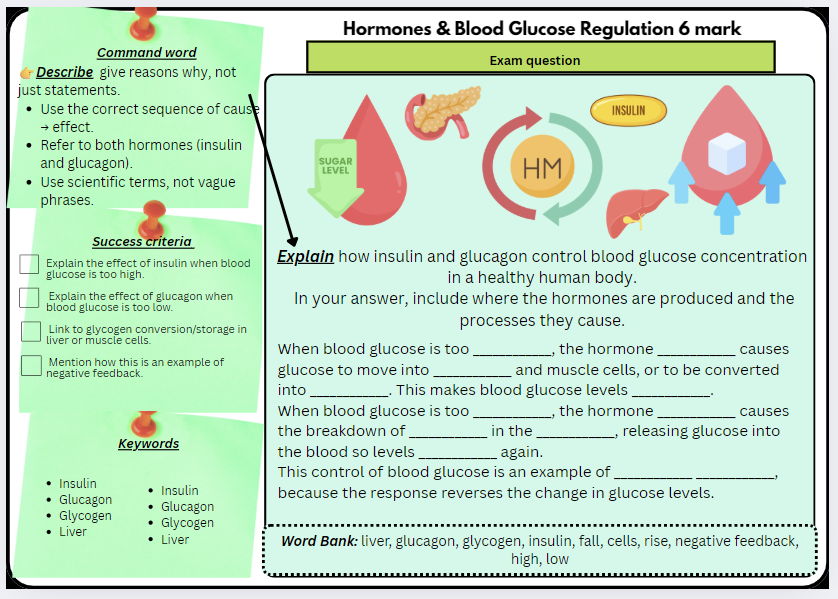 GCSE Biology – Hormones & Homeostasis 6 Mark Exam Questions (Mini-Bundle of 3) Scaffolded/Differentiated