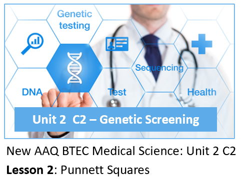 AAQ BTEC Medical Science Unit 2 C2 Genetic Screening – Lesson 2 Punnett Squares