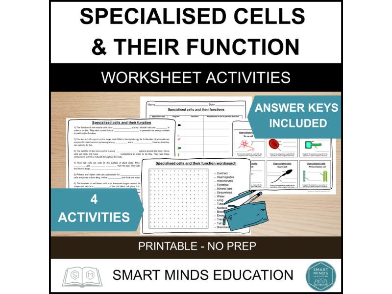 SPECIALISED CELL STRUCTURE AND FUNCTION ACTIVITY PACK | 4 PRINTABLE CELL WORKSHEETS