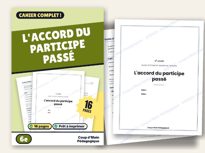 French Past Participle Agreement Grade 6 | L'accord du participe passé