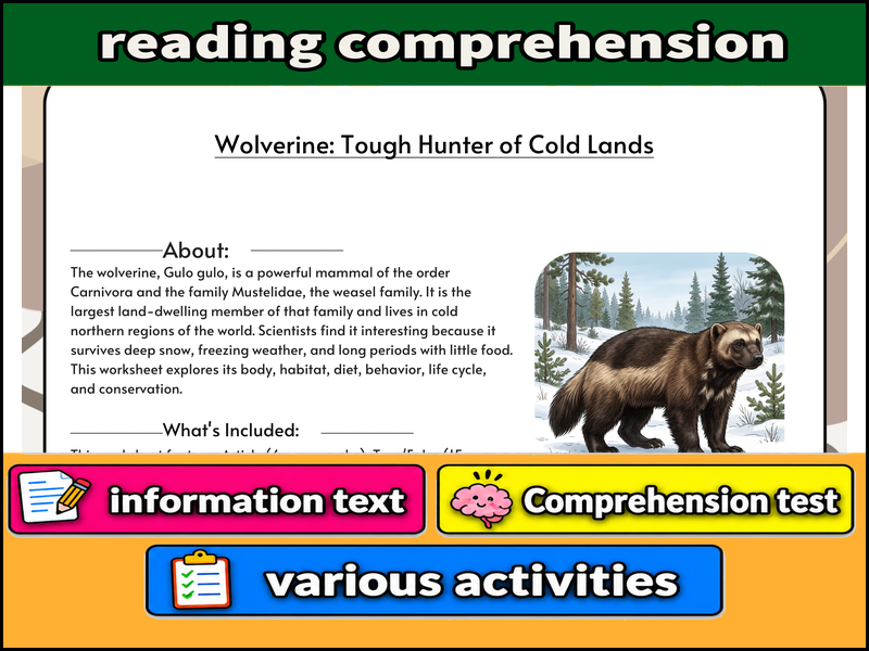 Wolverine: Tough Hunter of Cold Lands  & Comprehension Test