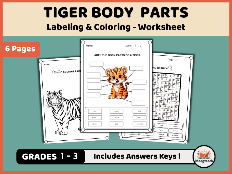 Tiger Body Parts in English | Wild Animal Labeling, Coloring & Word Search Worksheets