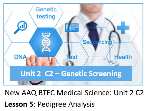 AAQ BTEC Medical Science Unit 2 C2 Genetic Screening – Lesson 5: Pedigree Analysis