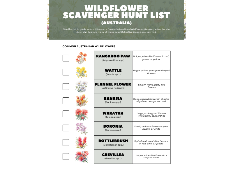 Wildflower scavenger hunt - Australia version