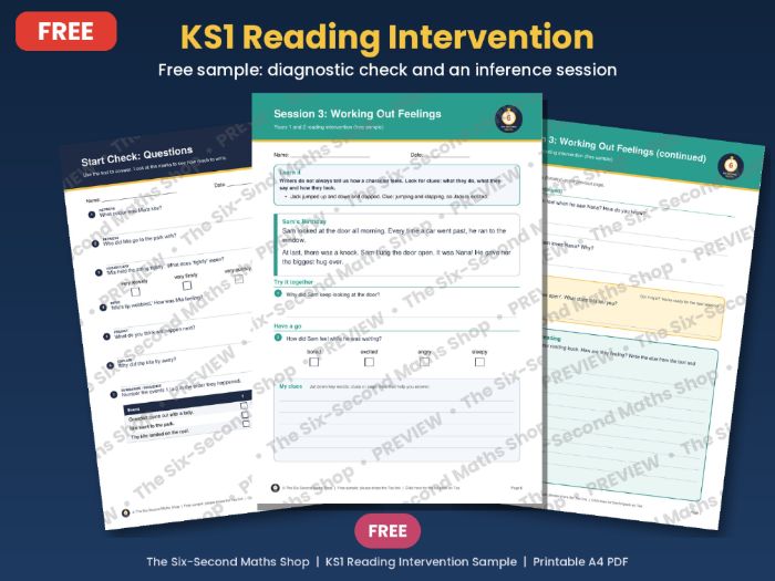 FREE KS1 Reading Intervention Sample - Diagnostic Check and Inference Session