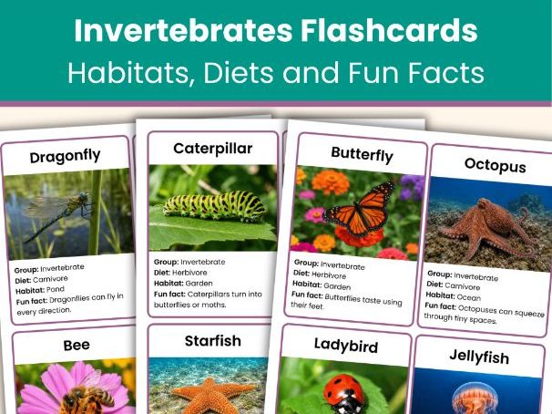 Invertebrates Flashcards | 48 Animal Classification & Fact Cards