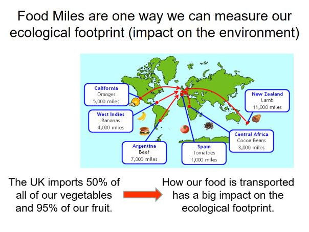 GCSE Geography - What is Consumerism? and DME on Local or Not?