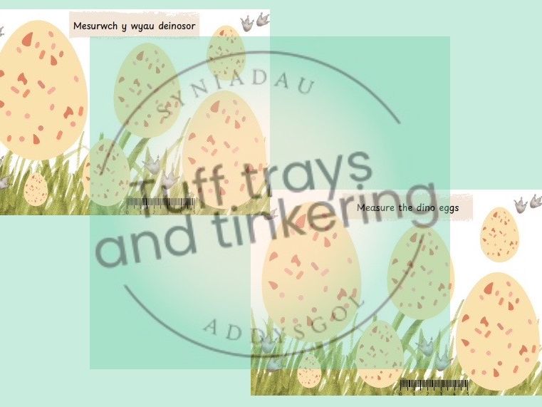 mesur dino eggs dinosaurs maths Curriculum for Wales Early Years PS1 addysg Cymraeg