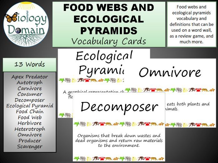 Food web word wall vocabulary cards teaching resources