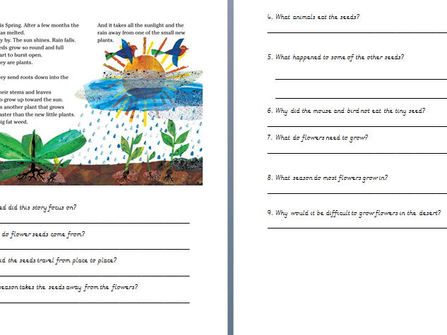 KS1 Tiny Seed Reading comprehension sheet