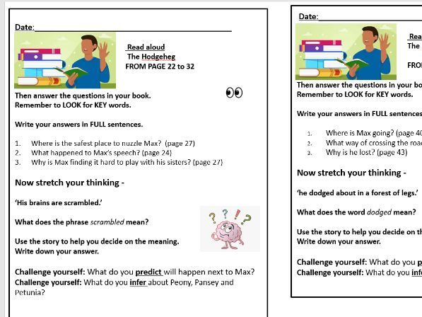 Dick King Smith's The Hodgeheg guided reading unit