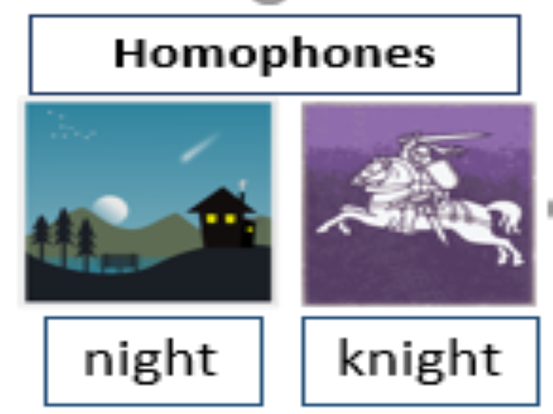 Homophones Teaching Resources