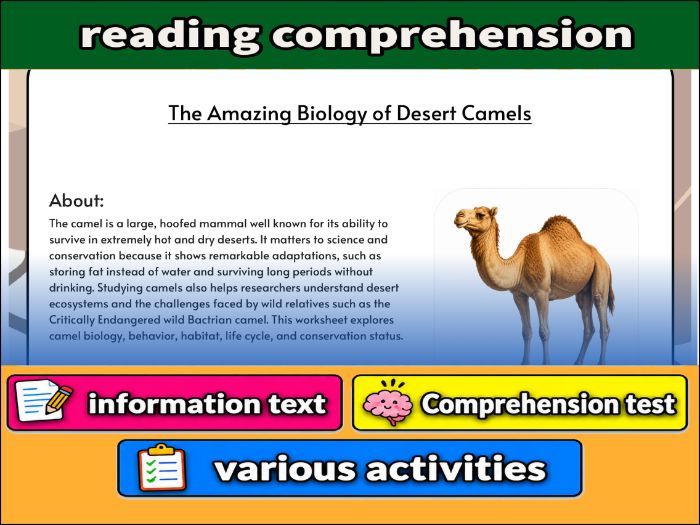 The Amazing Biology of Desert Camels - zoology & Activities