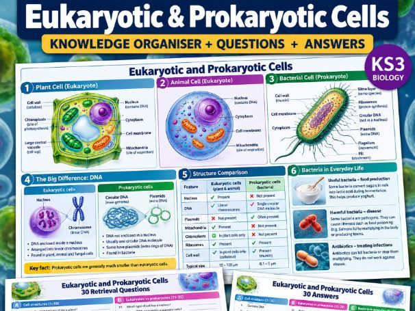 Eukaryotic and Prokaryotic Cells | Knowledge Organiser + 30 Questions & Answers | KS3/GCSE Biology