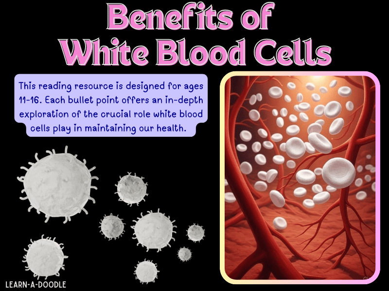 The Powerful Benefits of White Blood Cells: Defenders of the Body