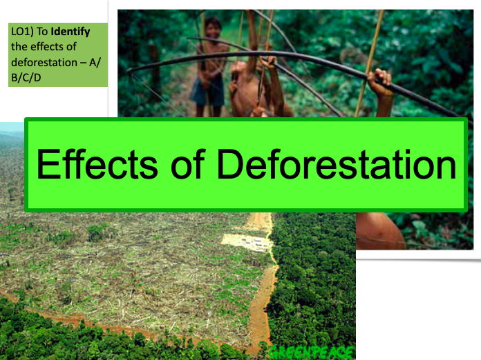 The Effects of Deforestation in the Tropical Rainforest