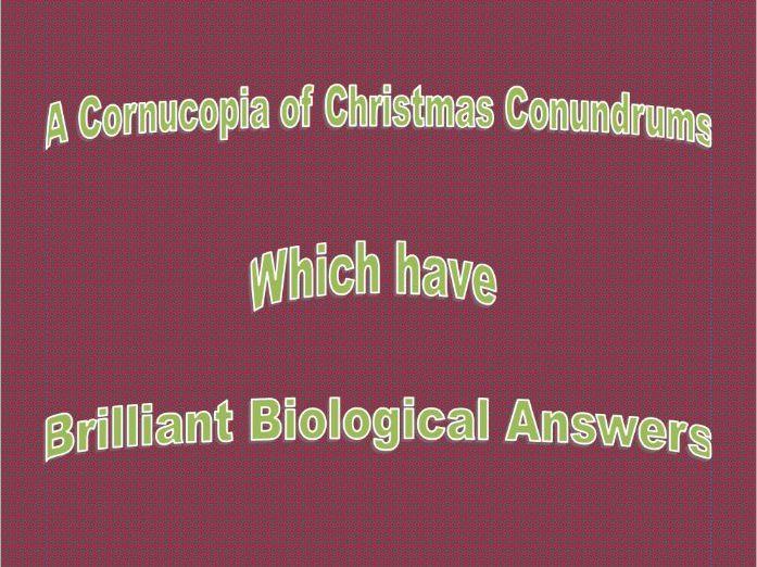 Christmas Biology Activity Multiple Delivery methods. Great Final