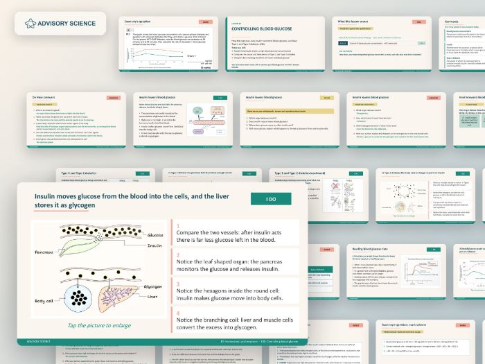 AQA GCSE Combined Science Biology B5 Homeostasis and Response | 9 Lessons and Topic Test