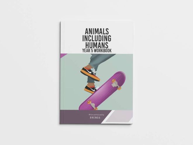 Animals Including Humans Year 5 Science Workbook | KS2 Science