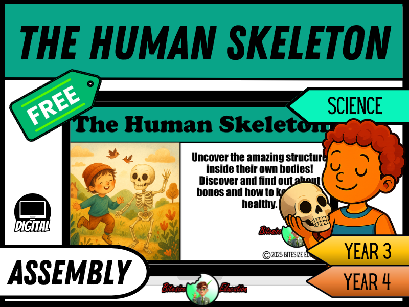 The Human Skeleton | Assembly Presentation | Year 3/4