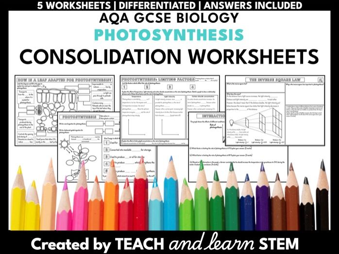 Photosynthesis AQA GCSE Biology Worksheets |Visual Notes Summary Consolidation