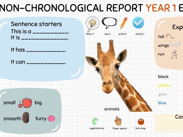 KS1 Writing Support Bundle – Word Banks & Sentence Starters for 5 Text Types (SEND & EAL Friendly)