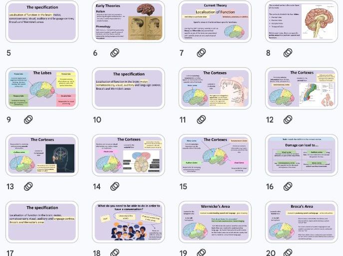 Localisation of Function - Biopsychology NEW AQA 2025 Specification