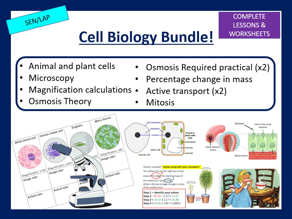 Cell Biology
