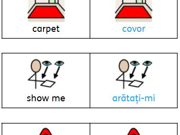 Lanyard Dual Language flashcards (English/Romanian)