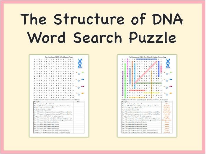 The Structure of DNA - Word Search Puzzle Worksheet Activity (Printable PDF)