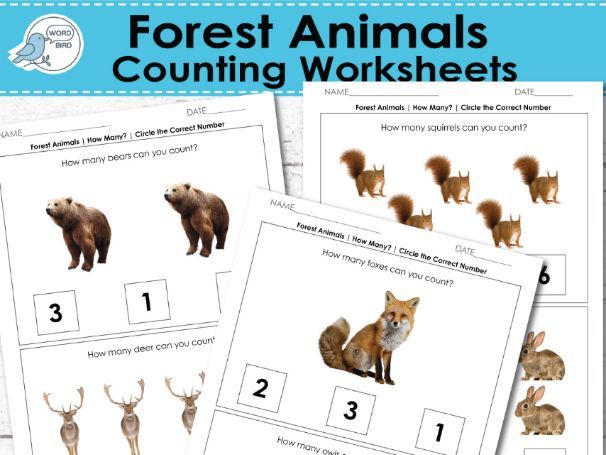 Forest Animals Counting Worksheets Real Photos Preschool and Special Education