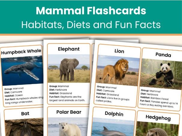 Mammal Flashcards | Animal Classification Cards | Habitats, Diets and Fun Facts | Printable Resource